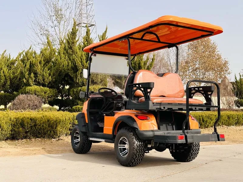 6 سيارة جولف للركاب، عربة جولف ليثيوم 54.4 فولت #5