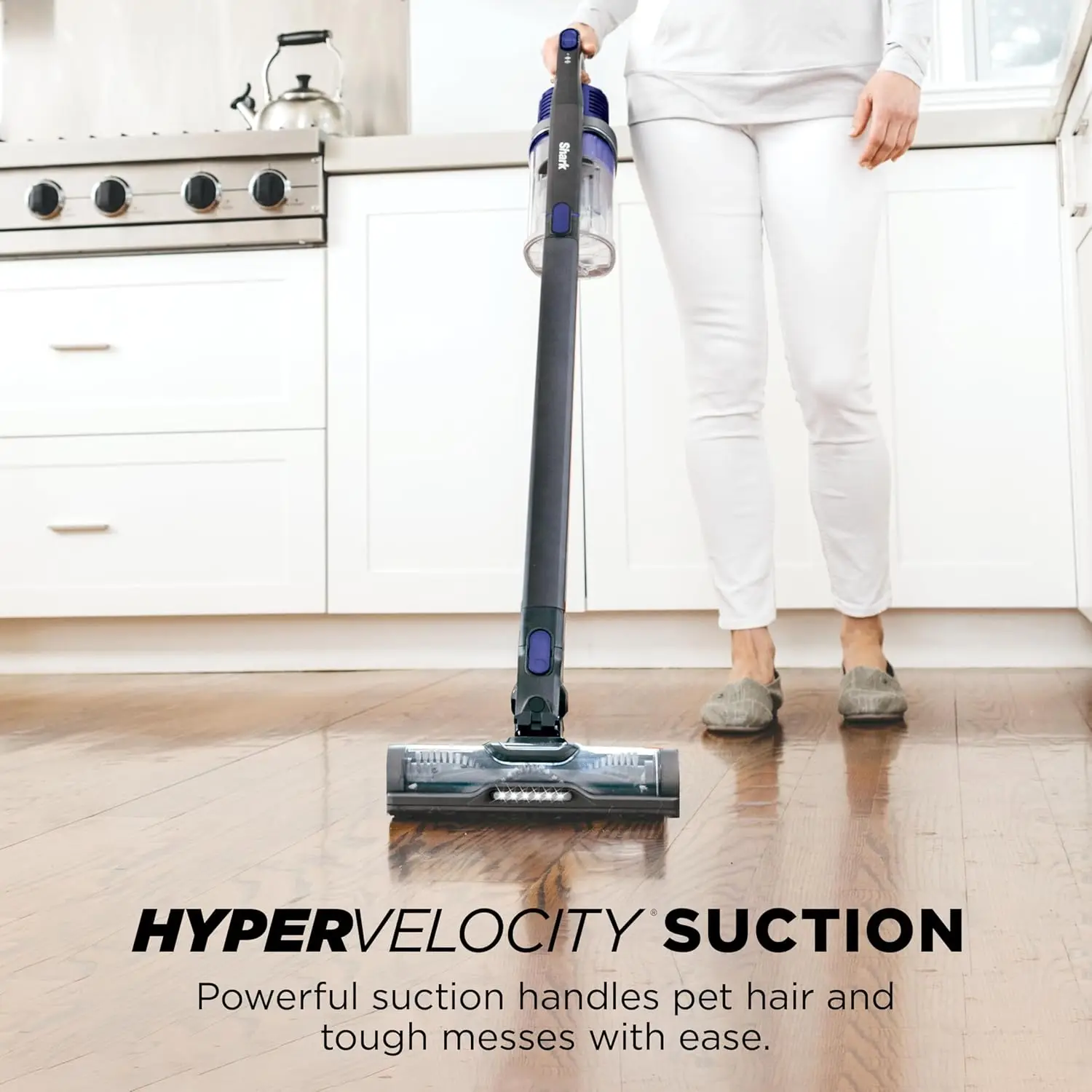 Pet Cordless Vacuum Cleaner LED Headlights Removable Handheld Vacuum for Pet Hair Crevice Tool & Pet Multi-Tool Included