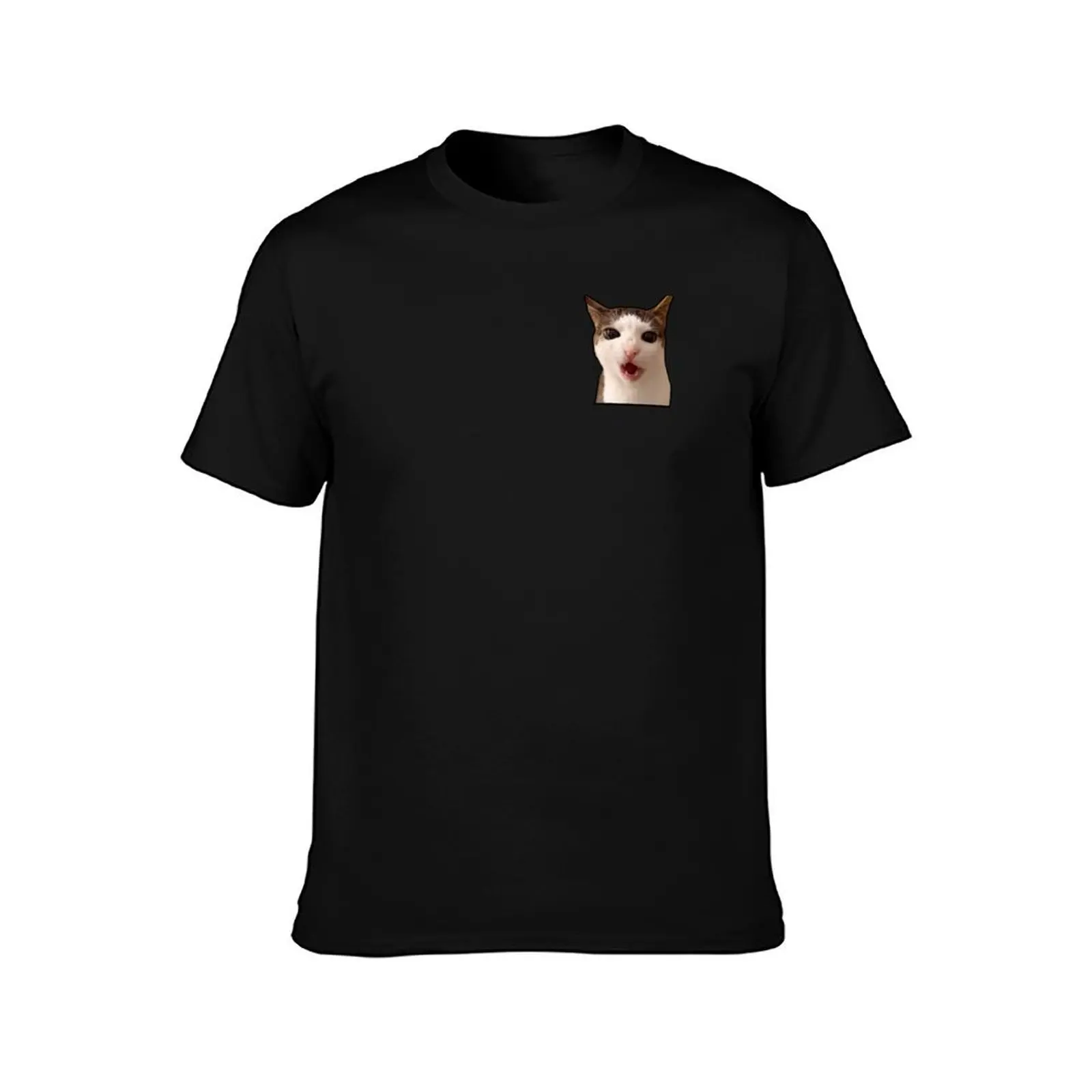 crunchy cat meme - Luna T-Shirt Simple Solid Color Crew Neck Tee T-Shirt
