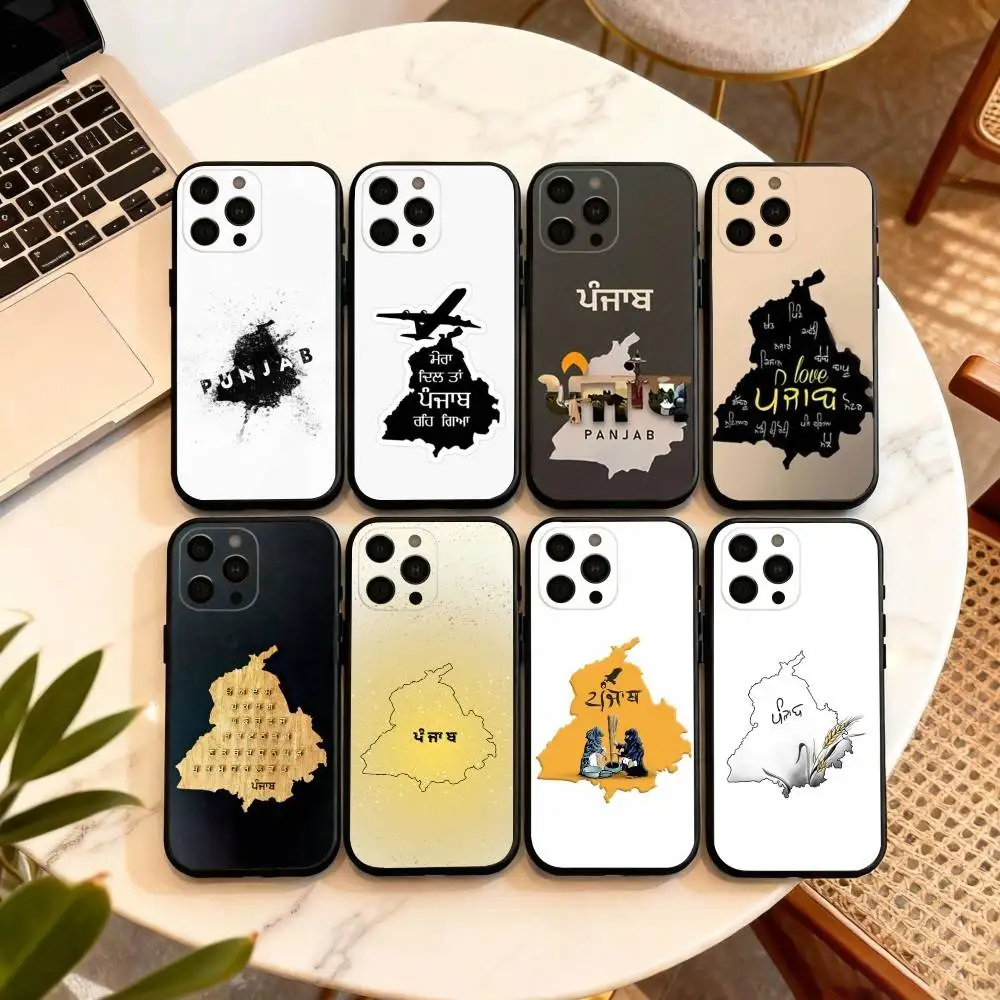 

P-Painting Punjab Map Phone Case For iPhone 17,16,15,14,13,12,11 Plus,Pro Max,XS,Soft Silicone Black Cover