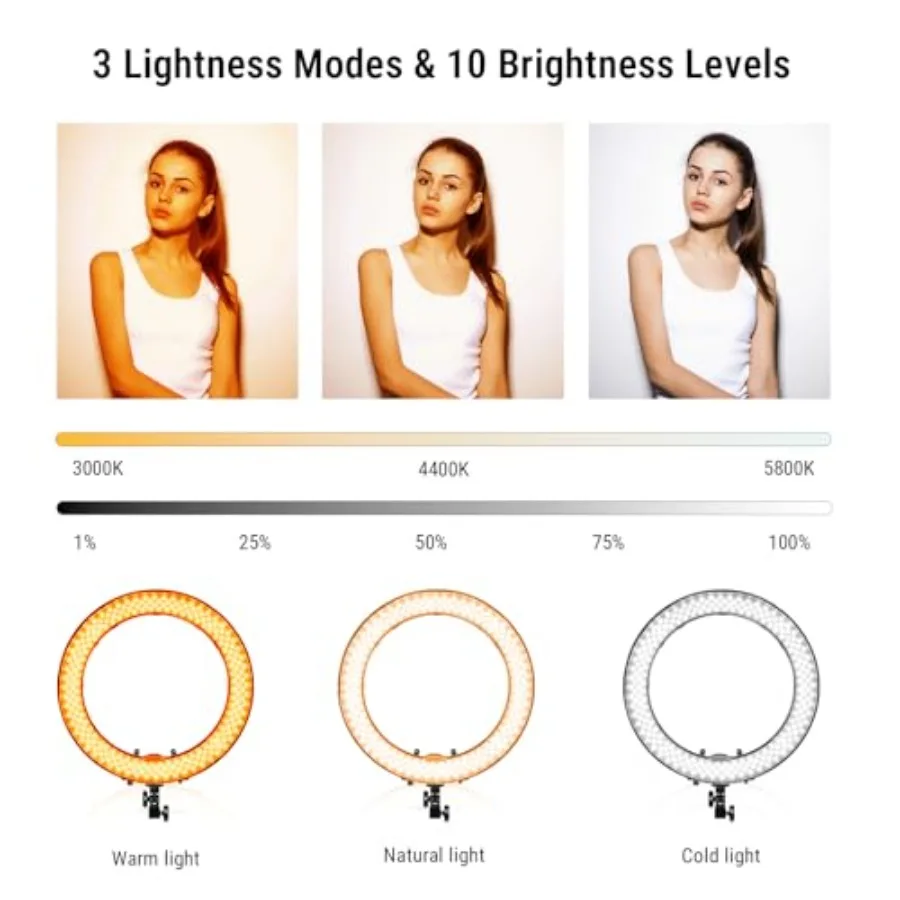 Anello luminoso a LED da 19 pollici con supporto regolabile e display LCD per riprese video professionali Ritratto di trucco Vlog e app selfie