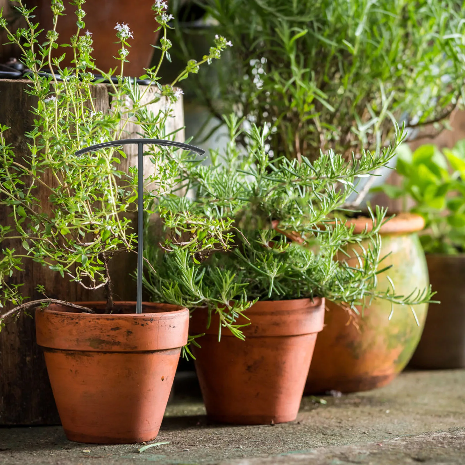 

1 комплект, опорные колья для растений, пластиковая опорная рамка для альпинистских растений, держатель стебля для цветов, овощей, крытая, уличная, садовая решетка