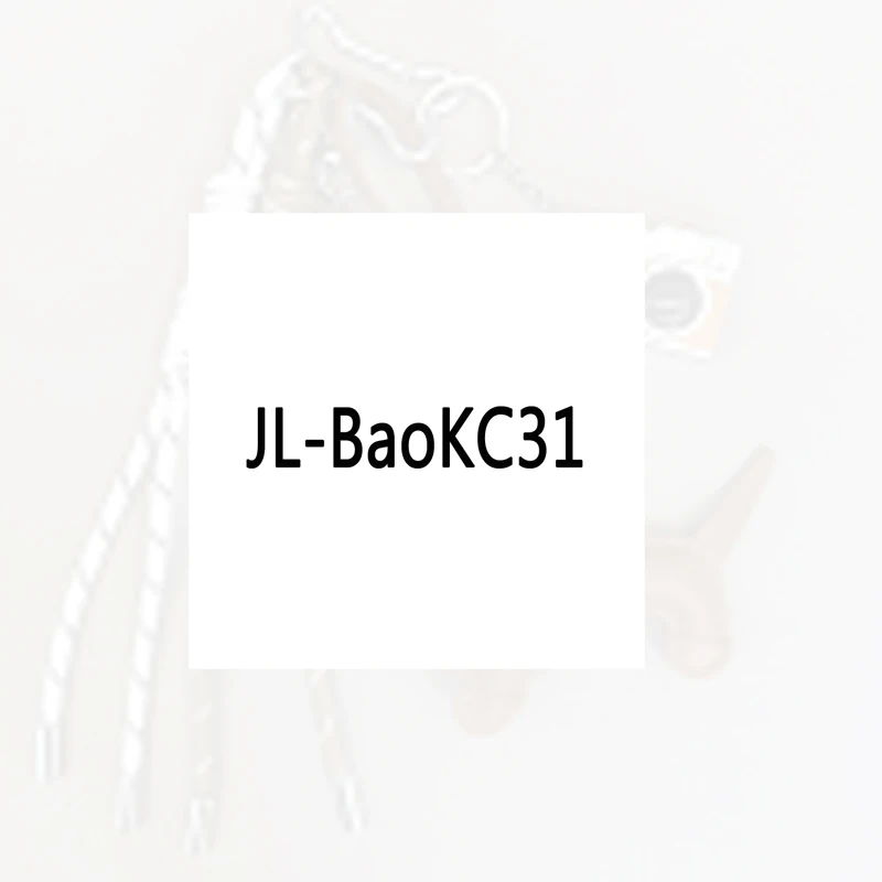 

JL-BaoKC31