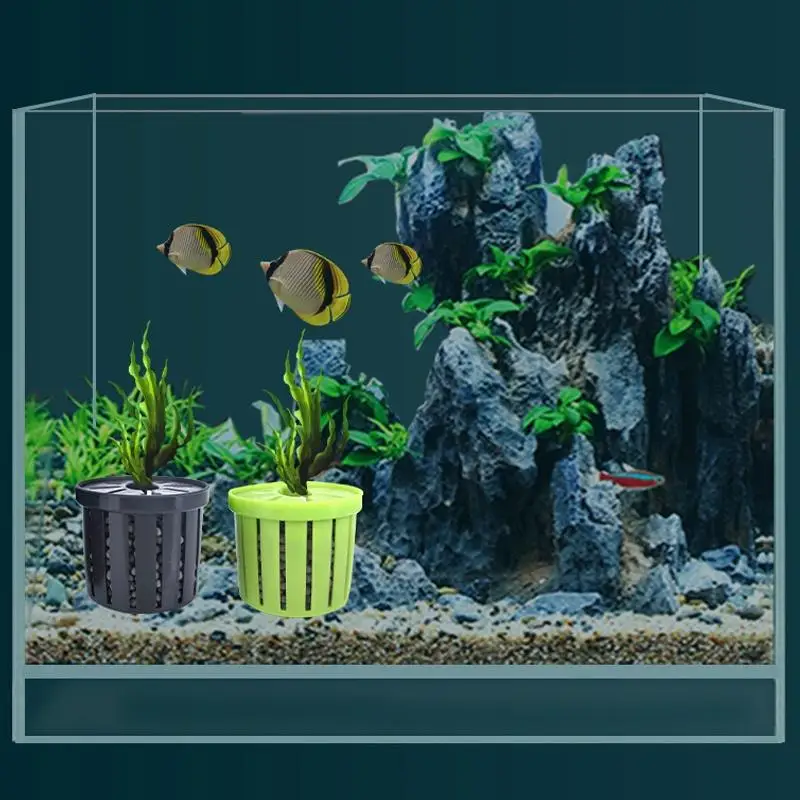 View 5