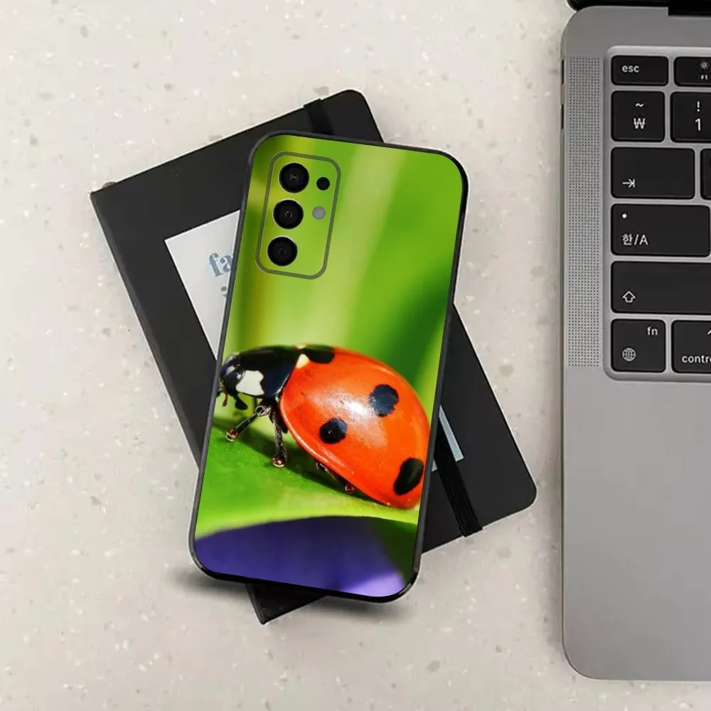 Insect Ladybug Phone Case For Samsung Galaxy A91,A80,A73,A72 ,A71,A53A52,A32 ,A31A22,A21s,A20,Black Cover