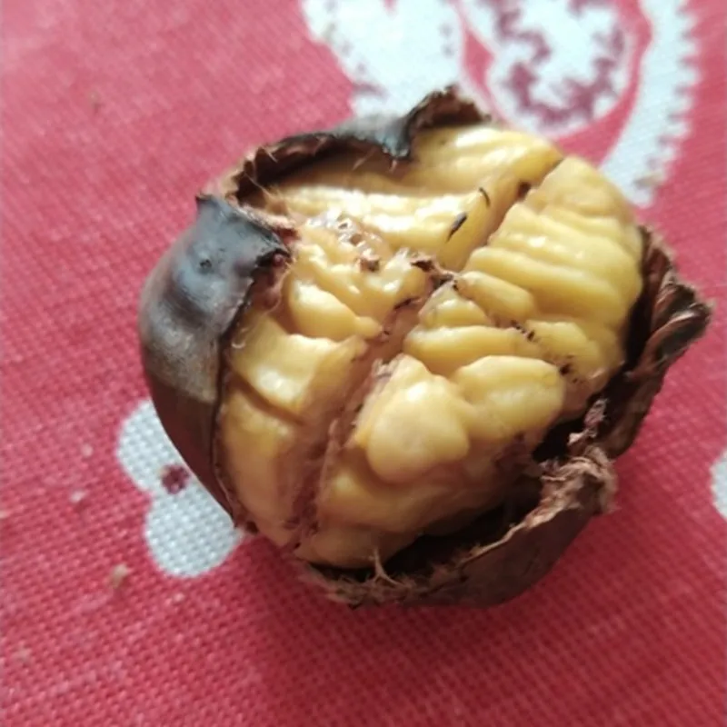 Nut Cracker Sheller Chestnut Cross Open Knife Quick Chestnut Cutter Nut Opener Sheller Walnut Pliers Kitchen Gadgets