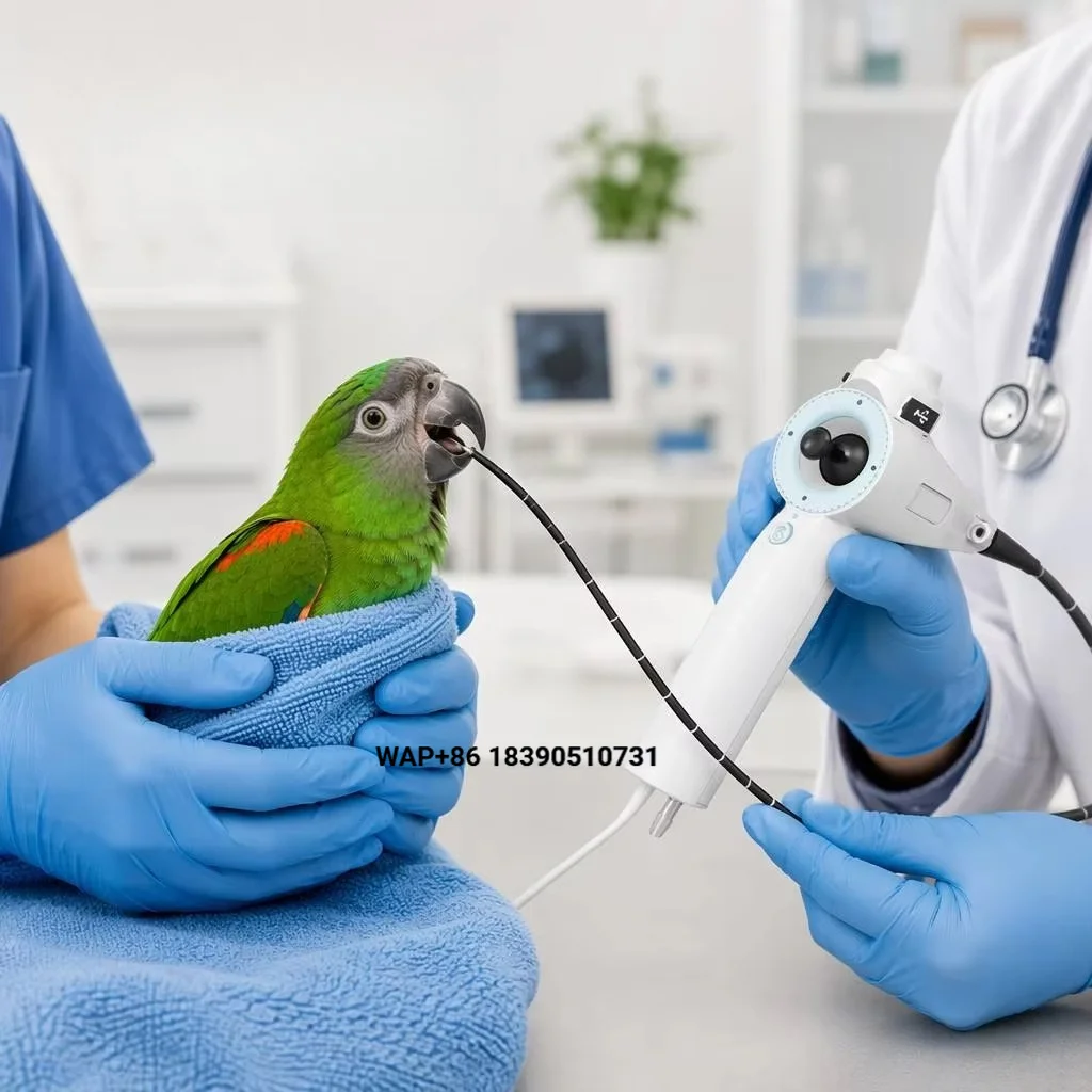 Support Android iOS wireless veterinary endoscope 5.8mm outer diameter large 2.0mm channel 360 degree universal angle adjustment