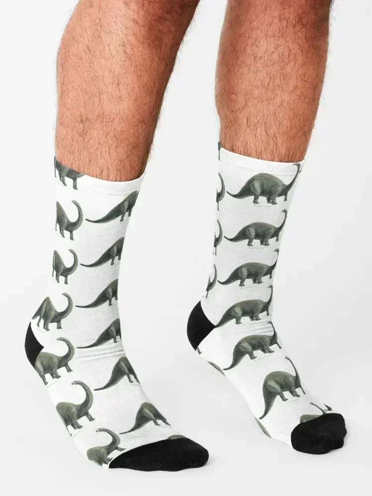 Brontosaurus Socks funny gift christmas stocking gift sport Socks For Men Women's
