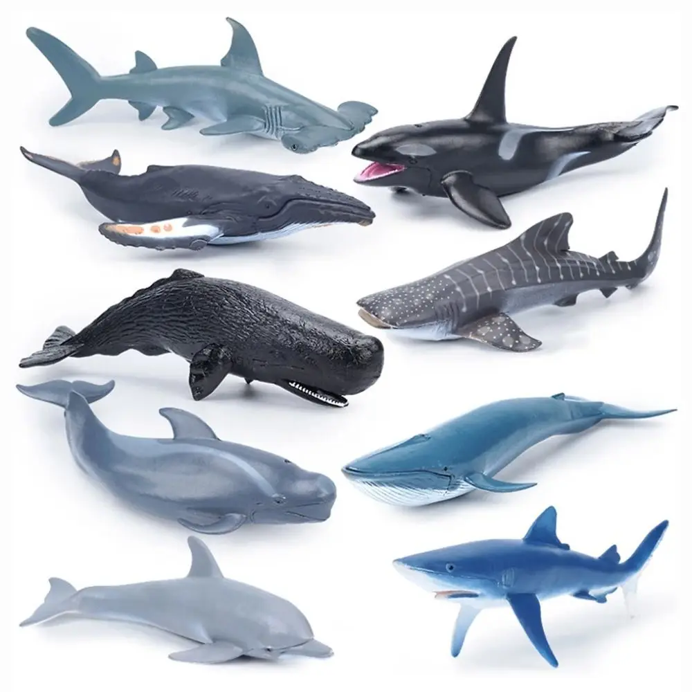 Simulation Marine Sea Life Whale Figurines Shark Cachalot Action Figures Ocean Animal Model Dolphin Hammerhead Educational Toys