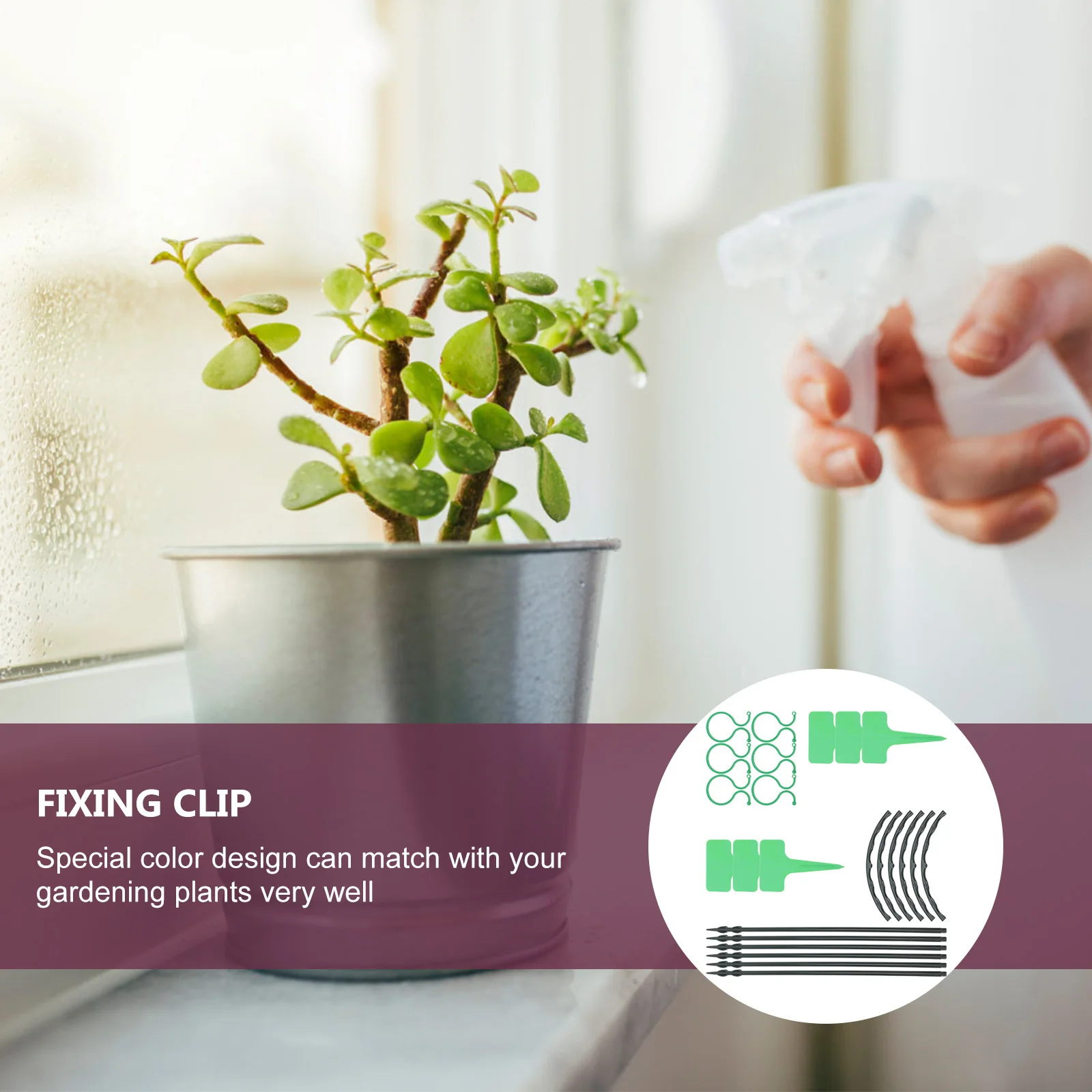 6 مجموعات من حصص دعم النباتات 6 مجموعات تعريشة تسلق النباتات البلاستيكية للزهور بوعاء دليل النمو المستقيم إطار حماية الرياح #6