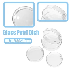 90/75/60/35mm laboratorio vetro borosilicato Petri coltura piatto esperimenti piatti in tessuto con coperchi vetro scientifico