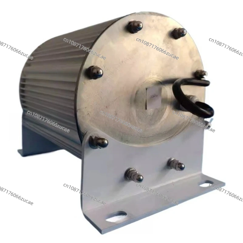 Wind Hydraulic Generator 1KW Three-Phase AC Synchronous Motor L-Type Permanent Magnet Generator