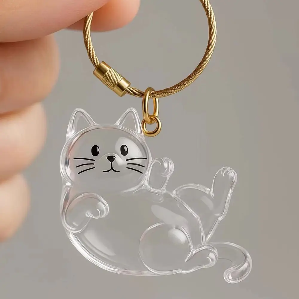 New Transparent Cat Hair Storage Keychain Cute DIY Pet Fur Keepsake Capsule Portable Souvenirs Keychain Pet Lovers image 5