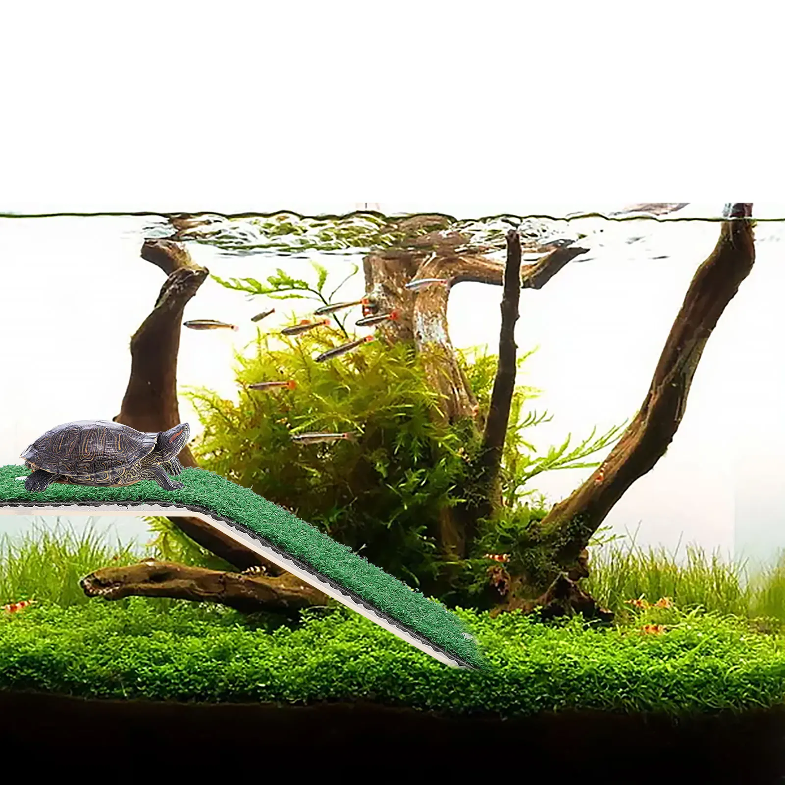 

Turtle Sunbathing Ramp Basking Platform Green Plastic PP Material Strong Load Capacity Easy Install Reptile Accessories
