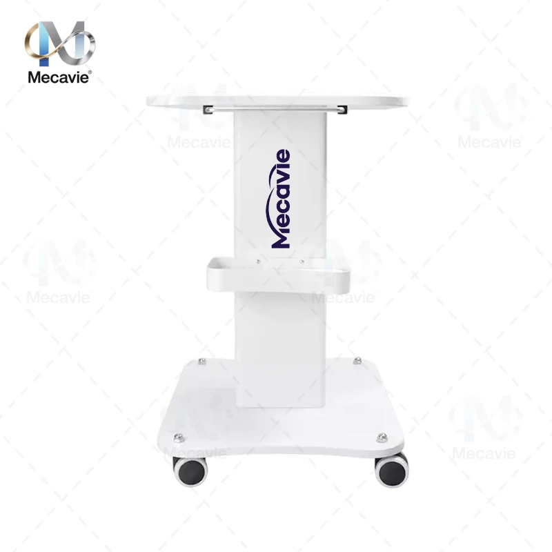 Professional Multi-Purpose Utility Cart for Beauty Salon Barber Shop Tattoo Studio Lab Clinic Heavy Duty Rolling Organizer Cart