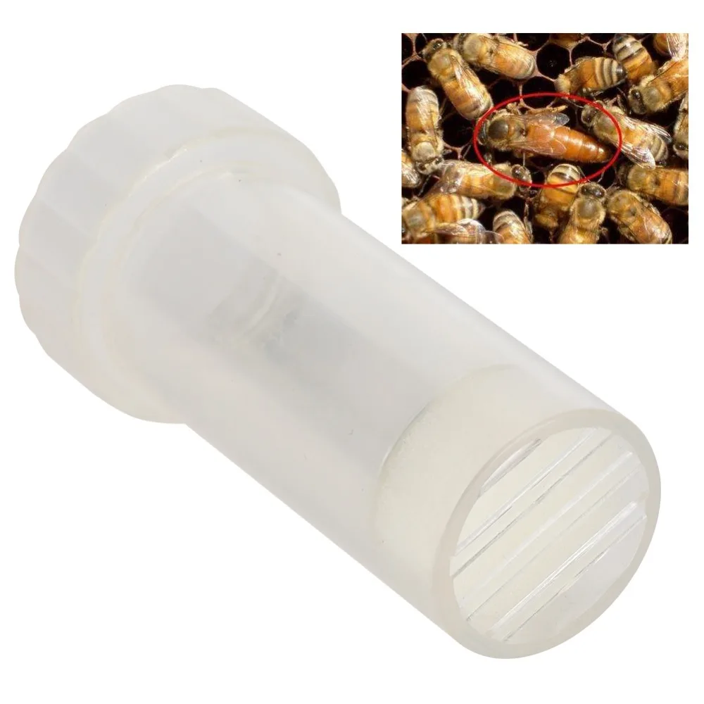 Plastic Queen Bee Marking Cage Lightweight Transparent Beekeeping Marking Bottle Foam Cushion Queen Bee Labeled Bottle