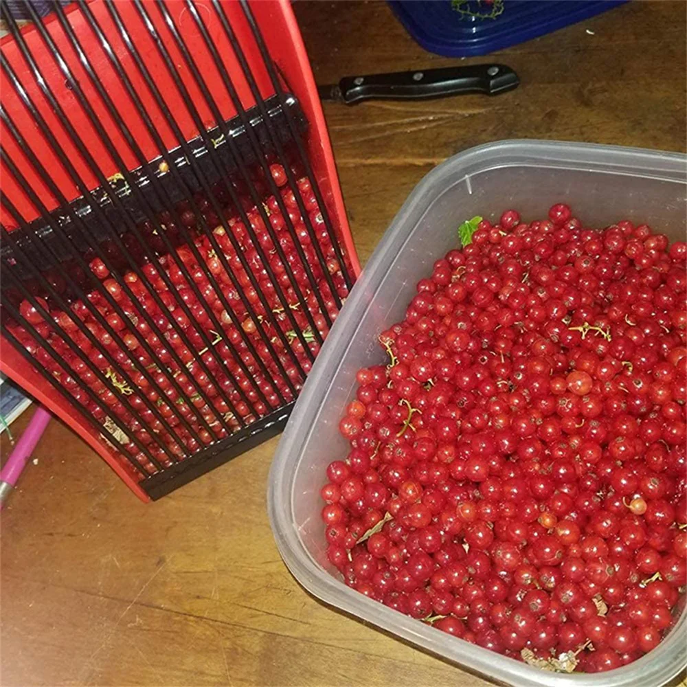 Portable Berry Pickers Metal Comb Rakes Picking Fruit Collecting Scoop Handle Blueberry Collection Harvester Picking Garden Tool