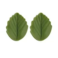 bean green