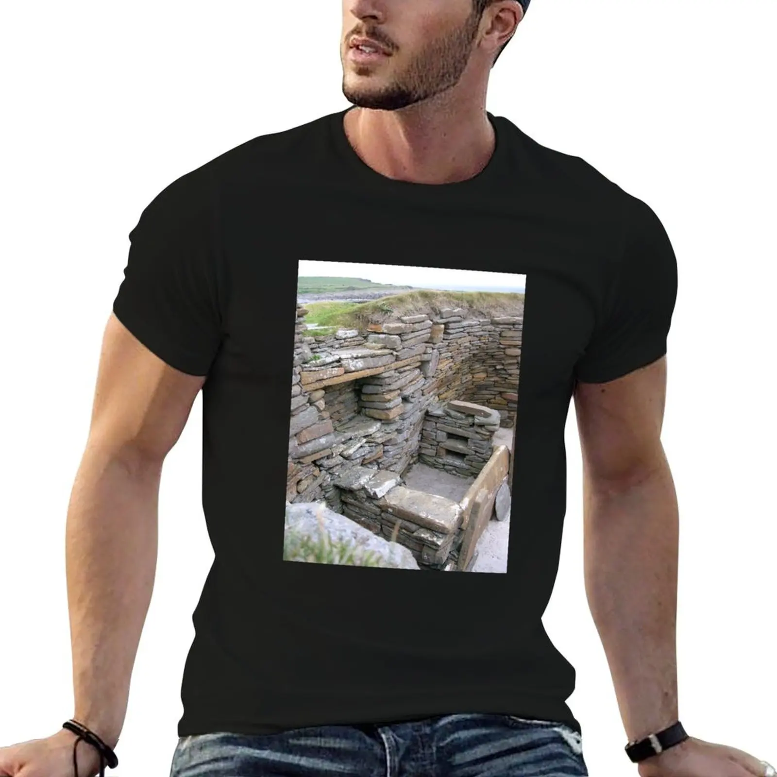 Interior of Neolithic house, Skara Brae T-Shirt Regular Fit Plain Tee Shirt