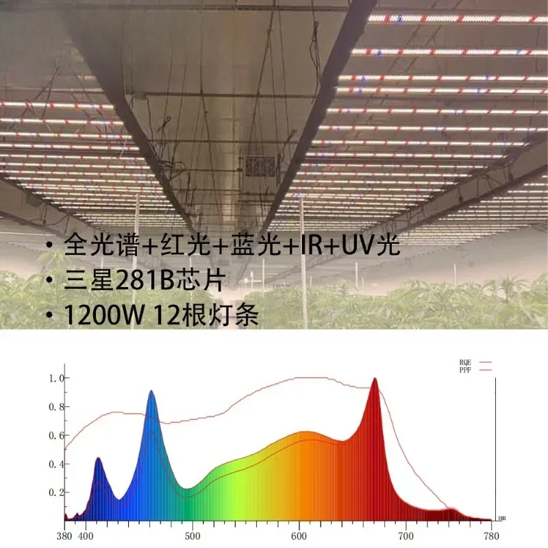 LED Plant Light Indoor Commercial Plant Growth Light 1.8M Red Blue Full Spectrum Plant
