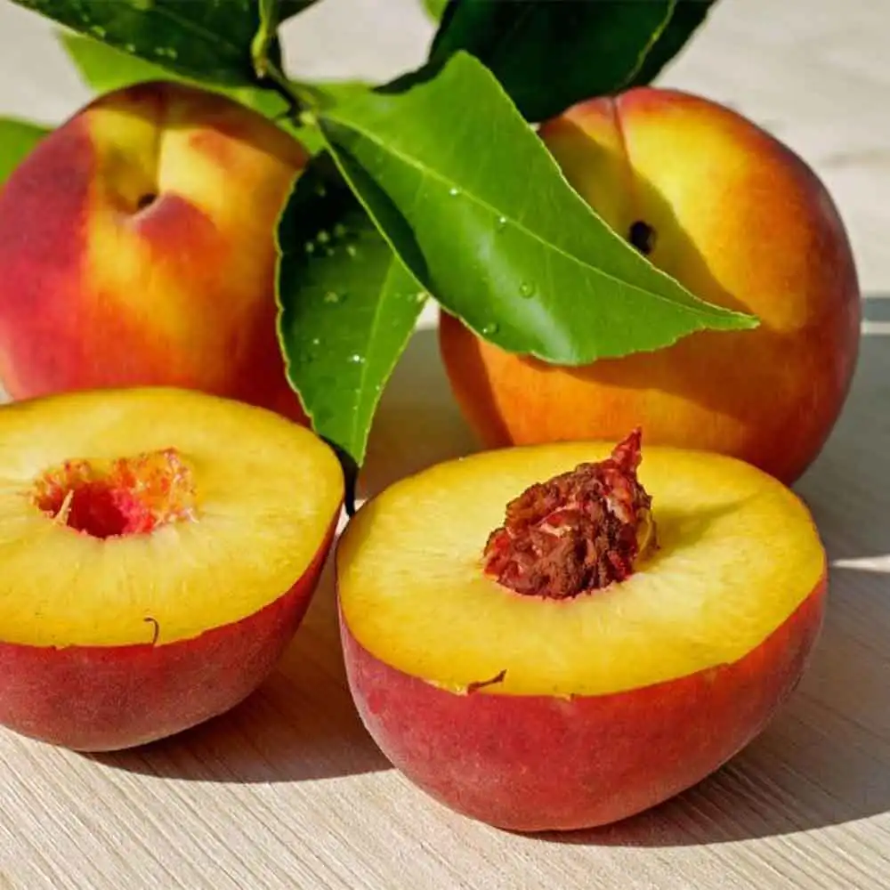 Pfirsich 1kg 2kg