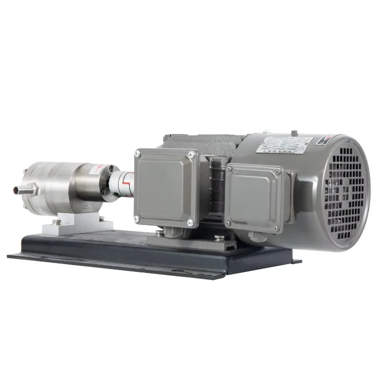 

Stainless Steel High Speed Oil Transfer Gear Pump Food Grade Chemical Gear Metering Pump