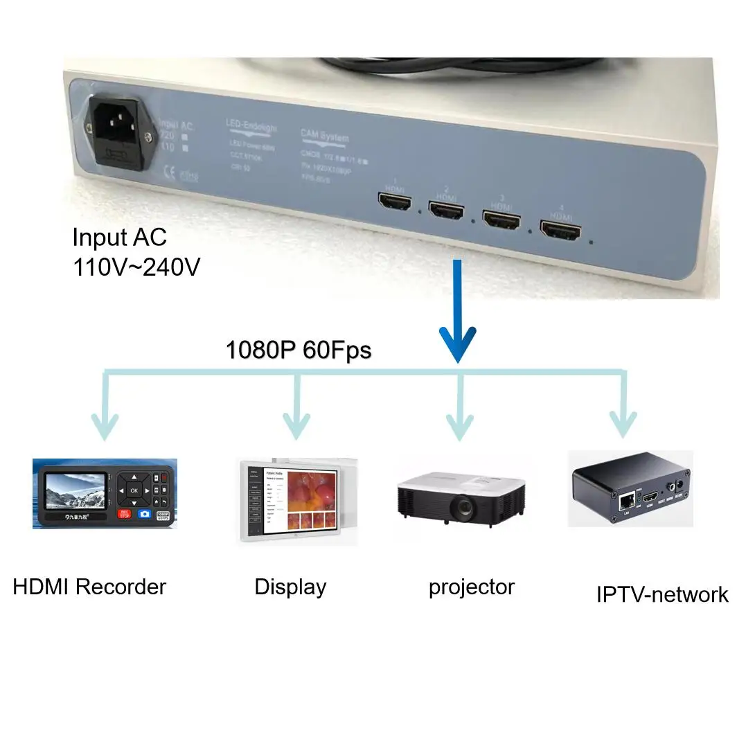 LED light source with endoscope camera HD 1080P  Output HDMI 4 Channel