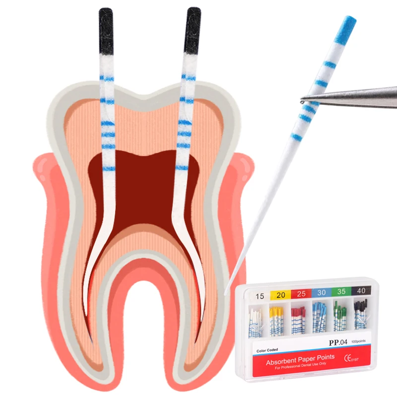 3-boites-de-papier-absorbant-dentaire-points-02-04-f1-f2-f3-cone-jetable-nettoyage-du-canal-radiculaire-du-dentiste-pointes-en-fiber-de-coton-graduees
