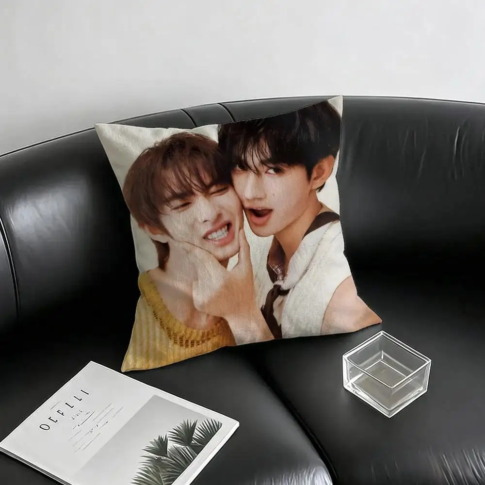 Singer Poohpavel Cushion Cover Natural Linen Pillowcase Set, All-in-One Decor for Sofa, Bedroom & Chair