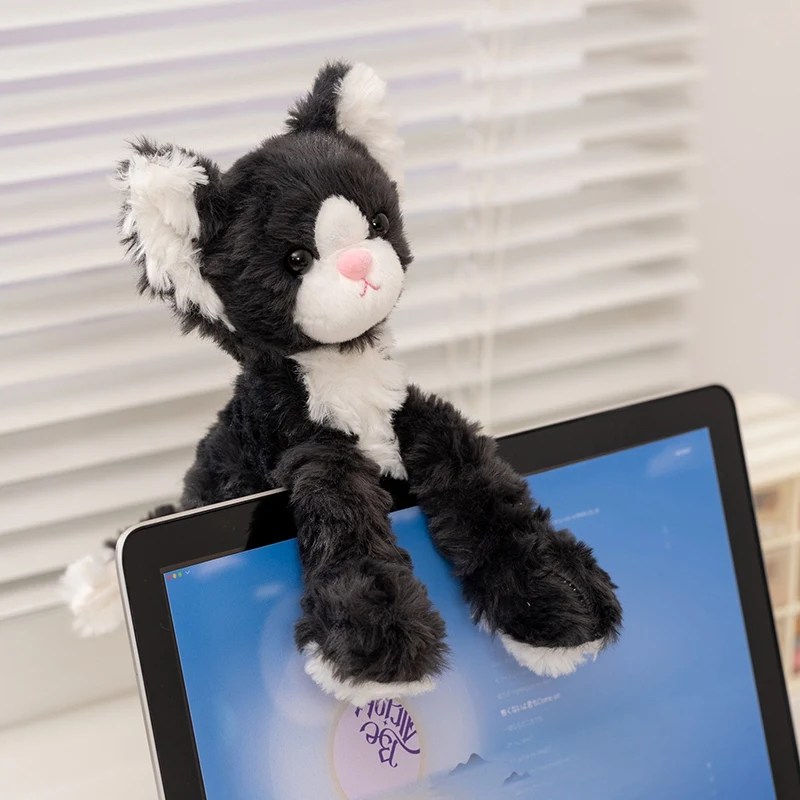 Poupée Devon Rex assise noire de 25cm, oreiller en peluche de chat à longues jambes, Animal de dessin animé doux, peluche réconfortante, cadeau d'anniversaire