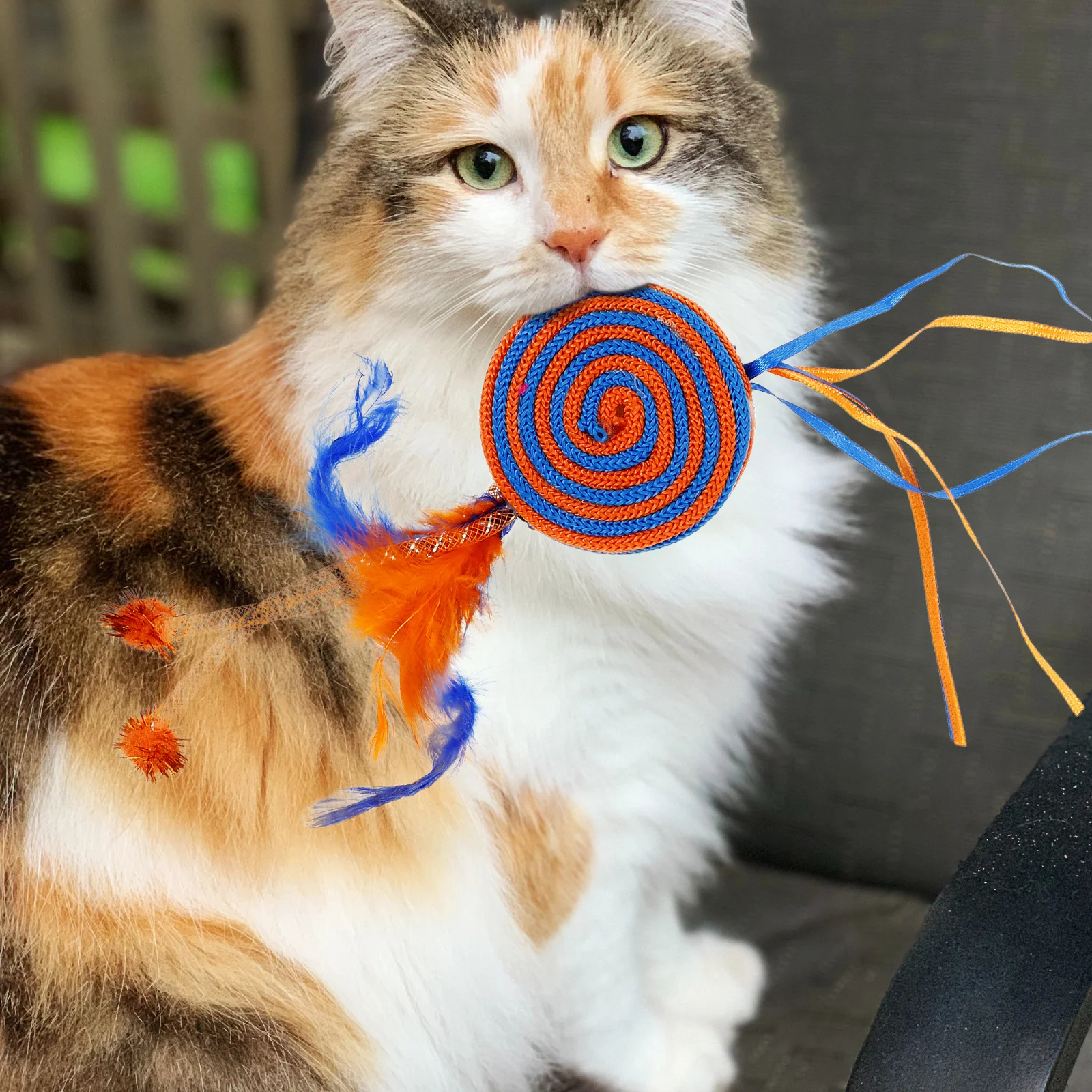 

Kitten Teething Cat Lollipop Bite Chew Cute Interactive Indoor Cat Chewing Cartoon Ribbon Small Animal Hanging Fun