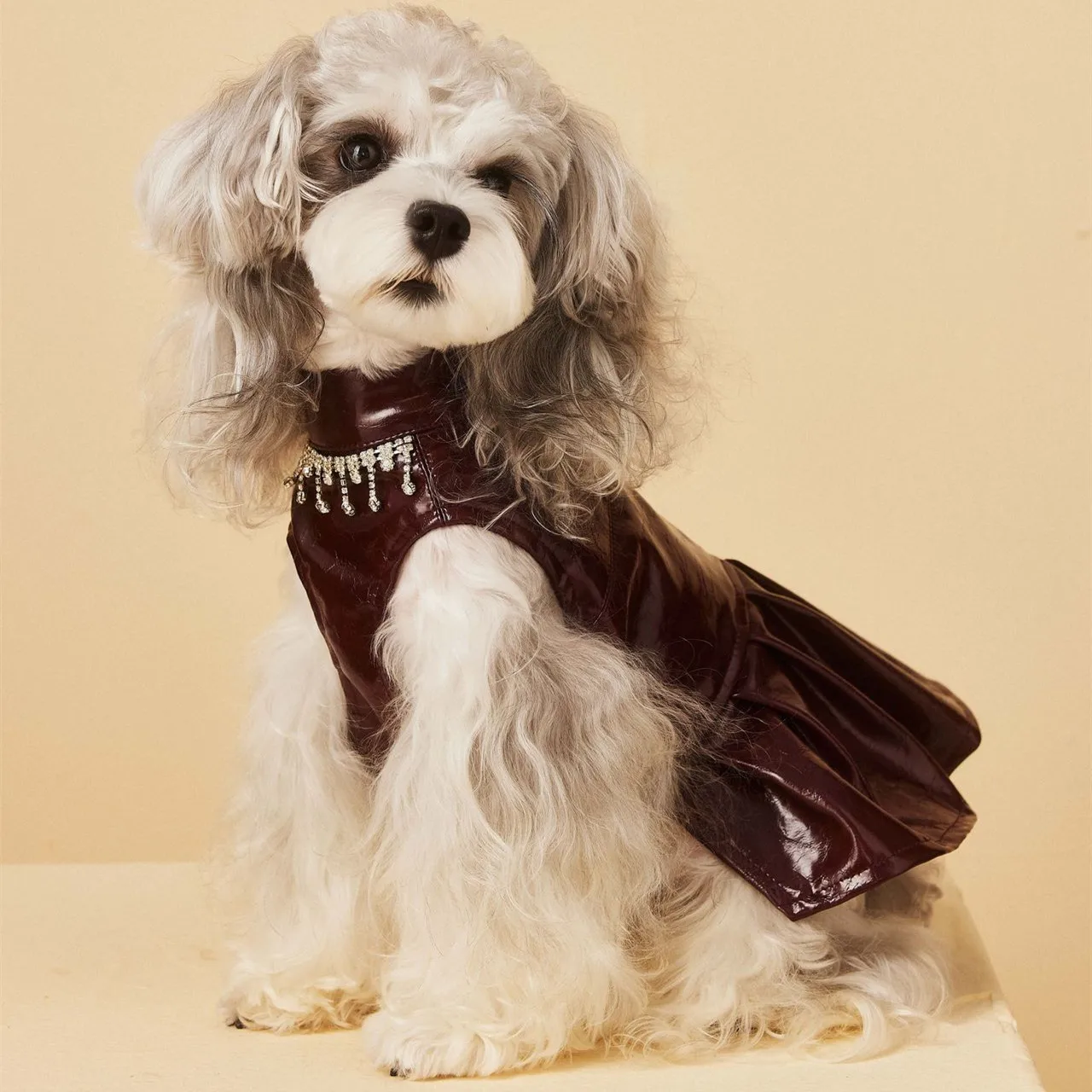 

Fashionable Lady Style Pet Leather Skirt With Necklace Maltese Terrier Luxurious Puppy Dress