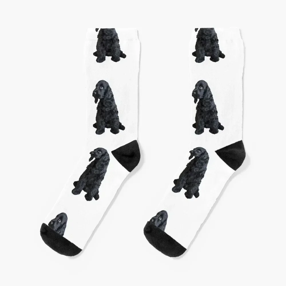 

English Cocker Spaniel Cute Black Puppy Dog Socks golf aesthetic Non-slip funny gift Designer Man Socks Women's