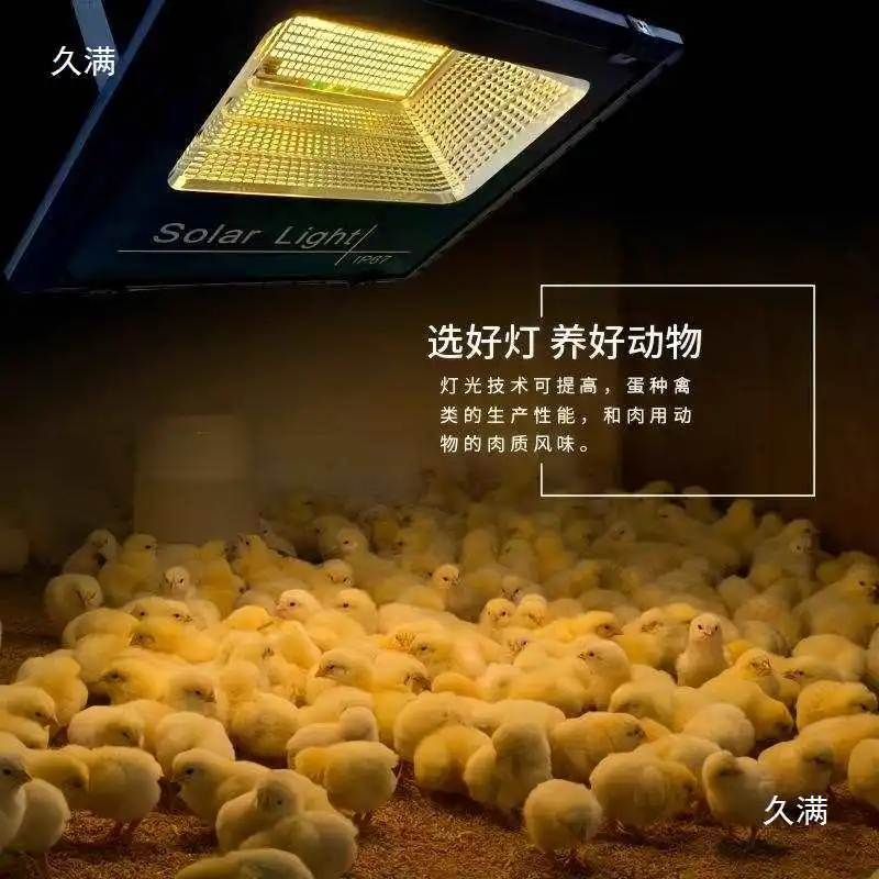 Insulation Lamp Solar Farm Heating Lamp Winter Small Chicken Coop Pig Farm Pet Temperature Control Heating Lamp