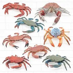 Simulation Animal Model Durable Animal Cognition Toy Realistic Aquarium Miniature Crab Cognition Education Toy Practical