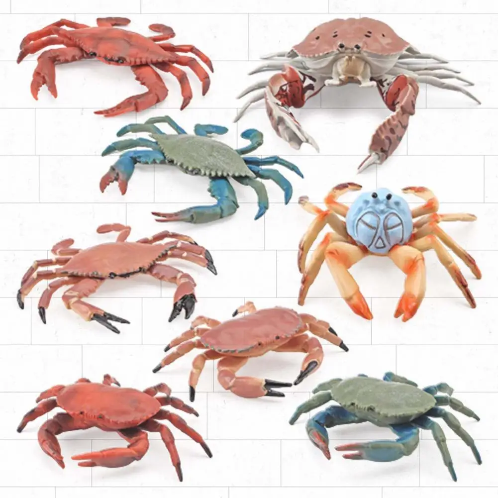 Simulation Animal Model Durable Animal Cognition Toy Realistic Aquarium Miniature Crab Cognition Education Toy Practical