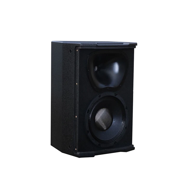 Tonewinner CK-100 Professional audio subwoofer good sound speaker  for sale karaoke speaker professional audio video pa speakers