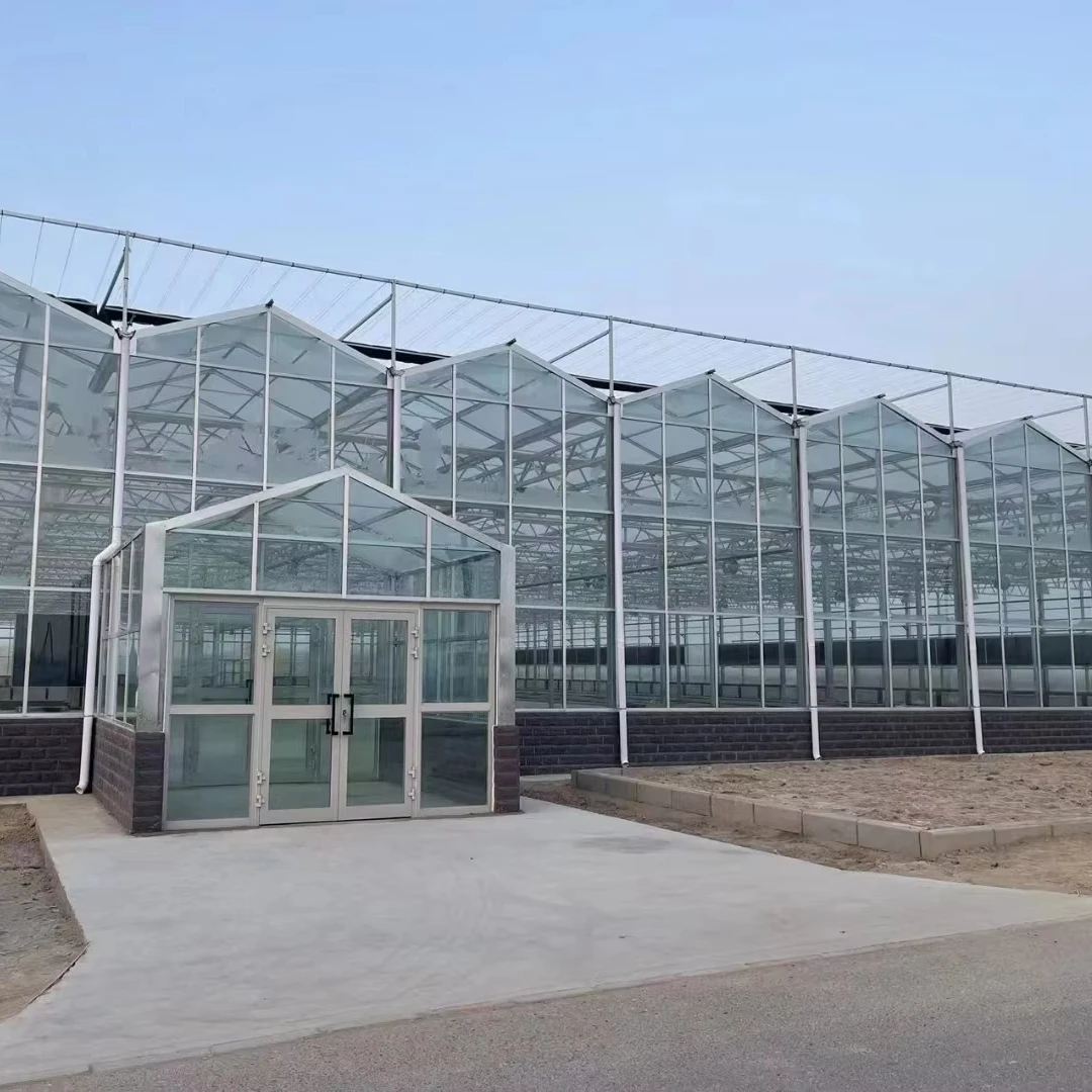 

Customized greenhouseLarge Size Glass Multi-Span Green House Structure Agricultural Greenhouse Smart Climate Control of Commerci