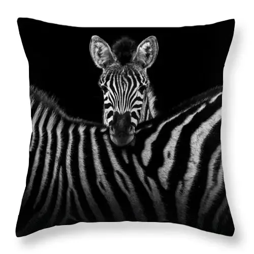 Animal Zebra Printed Polyester Cushion Cover Bedroom Hotel Car Decoration Home Sofa Square Pillowcase 45X45cm