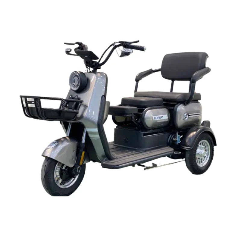 

Tricycle Electric Vehicle for The Elderly To Travel for Leisure, Adult Pick-up and Drop-off Children