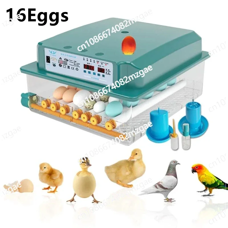 110V/220V Household 16 Eggs Incubator Intelligent Automatic Egg Hatchers for Chicken Duck Goose Pigeon Bird  CE Certification