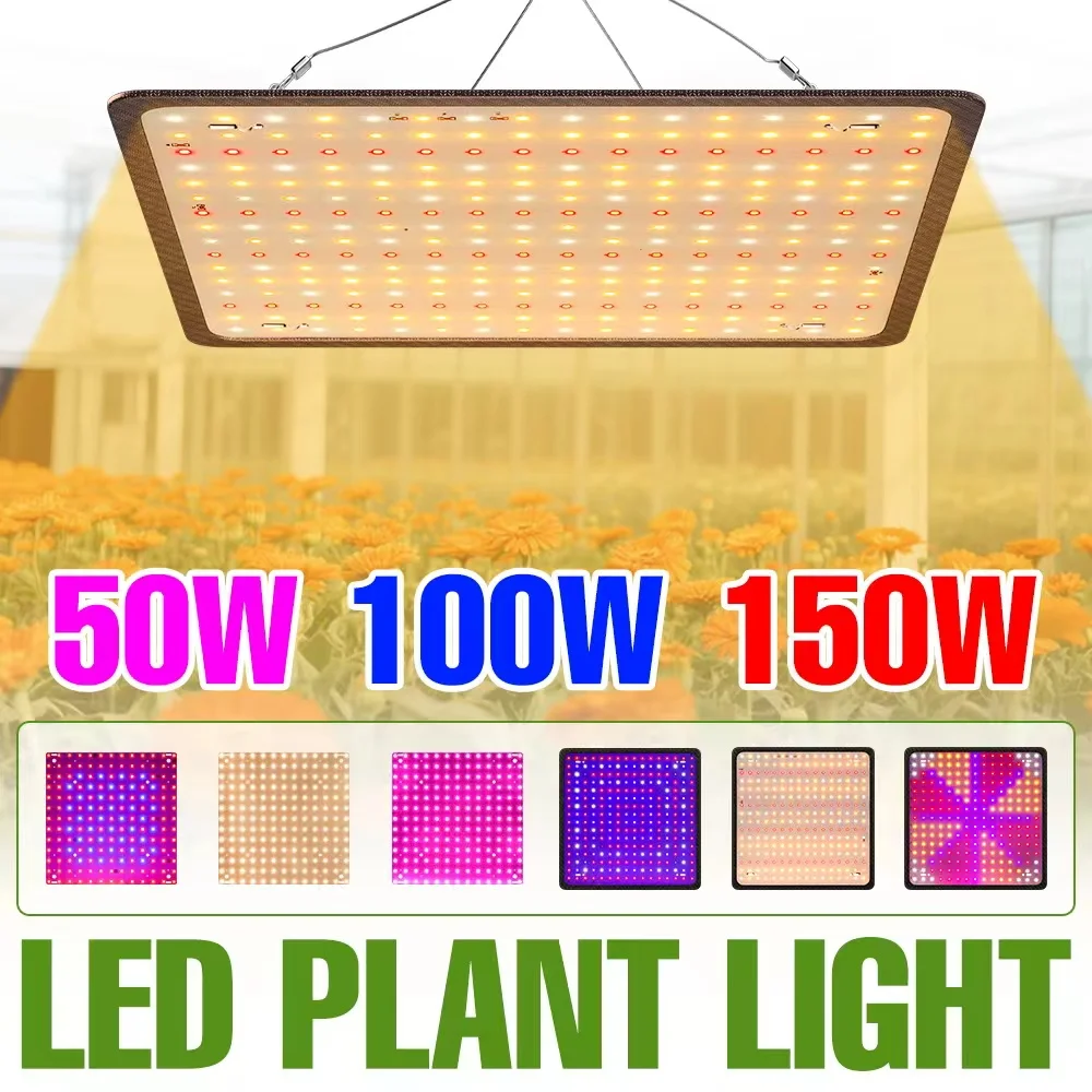 150W LED Full Spectrum Grow Lights Quantum Board Cultivation Lamp US/EU Plug For Indoor Flower Greenhouse Tent tomato Vegetables