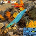 3.0 12GREEN BLUE