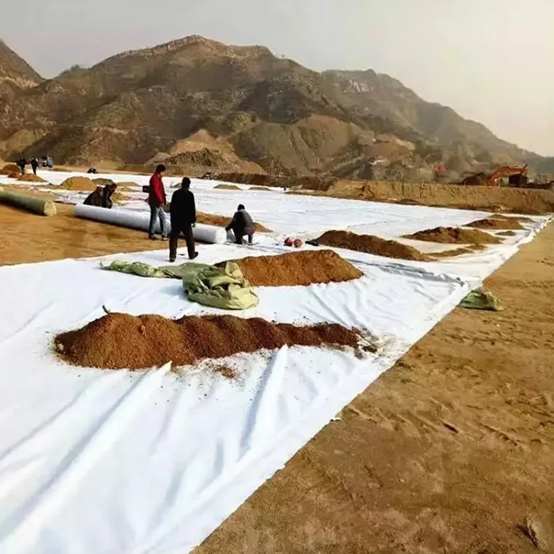 【Best-selling】500g Geo Fabric Cloth Geo Fabric Non Woven Geotextile 100-1000gsm PP PET Geotextile