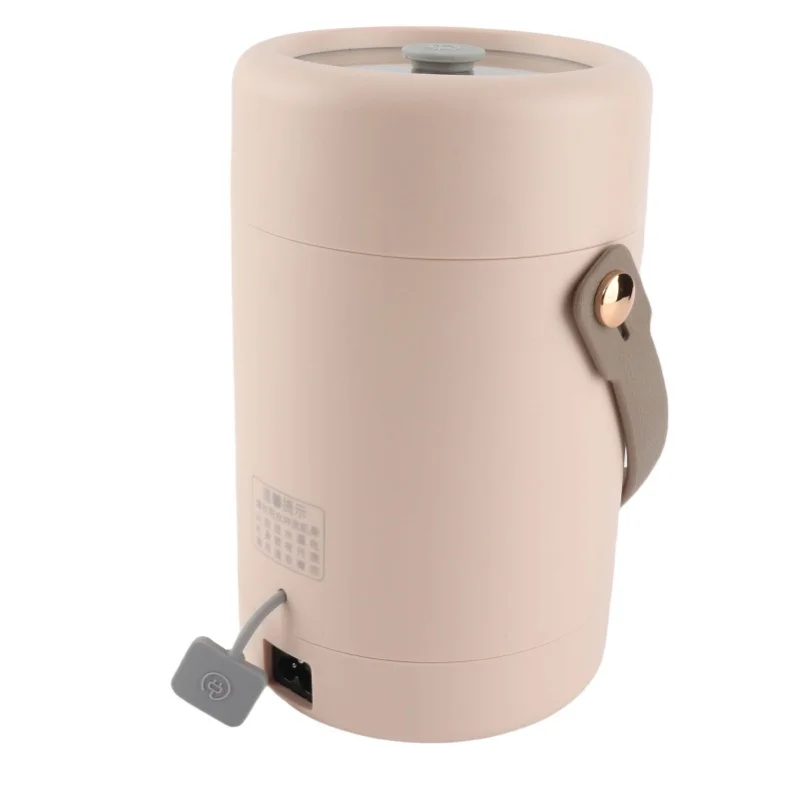 Stewing Pot Mini Electric Cooker With Visual Lid Portable For Rice Eggs Noodles Porridge