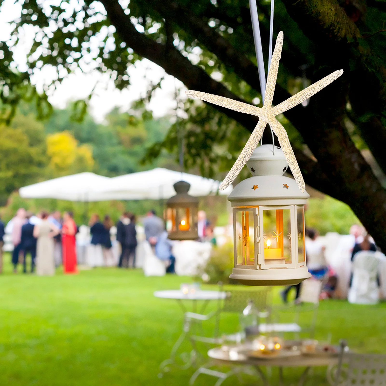 

2Pcs Natural Knobby Sea Stars Decorative Mini Beach Ornaments Wedding Craft Seashell Decoration Accessory Home Party Garden