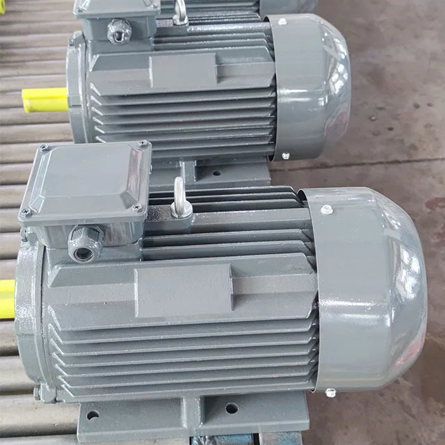 Electric Motor For Lawn Mower