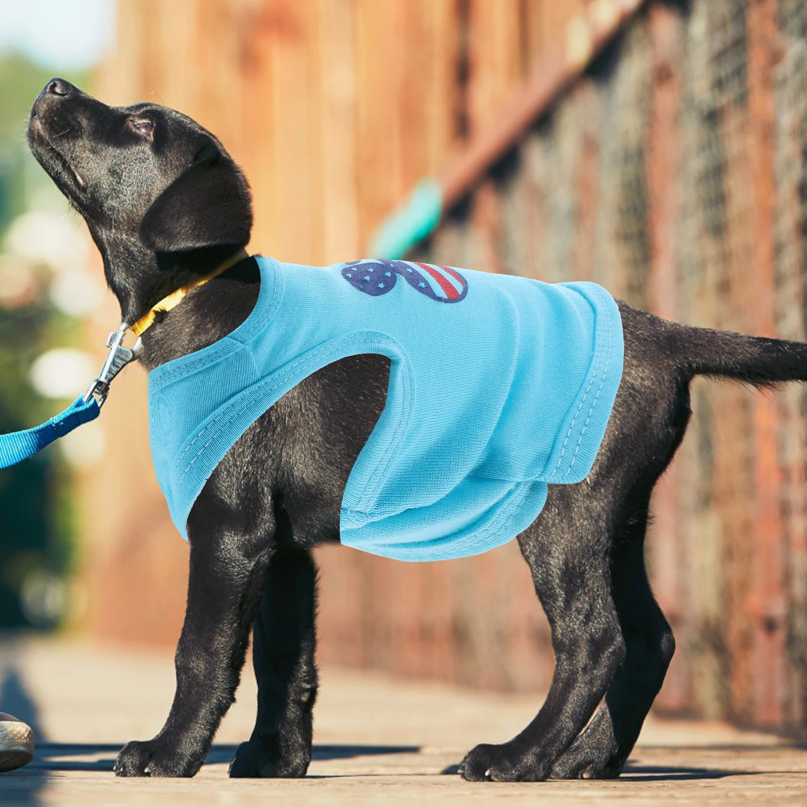 

Xs Pet Vest Breathable Puppy Shirt Clothes Adorable Design Durable Exquisite Sewing Decorative Costume