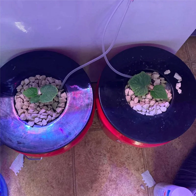 -ABJZ وعاء شبكي 6 بوصة بسعة 5 جالون للأغطية الواسعة للطلاء (5 عبوات) أكواب شبكية لباك الزراعة المائية، سلة DWC Li