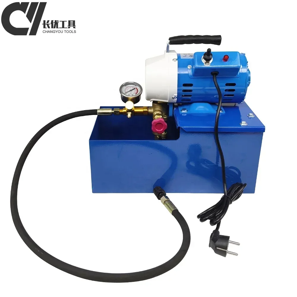 DSY-25 150W  electric Power Source pressure test pump Customizable OEM Machining Irrigation and Mining Industry test pump